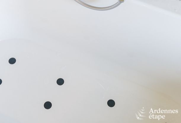 Ferienhaus Bonsin 8/9 Pers. Ardennen