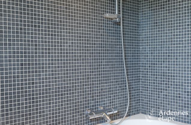 Ferienhaus Bonsin 8/9 Pers. Ardennen