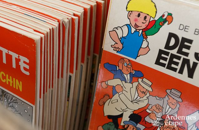 Ferienhaus Bonsin 8/9 Pers. Ardennen