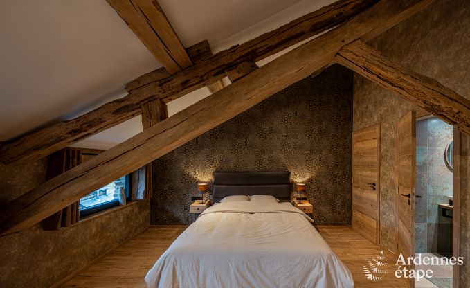 Ger�umiges und komfortables Ferienhaus in Bouillon, Ardennen
