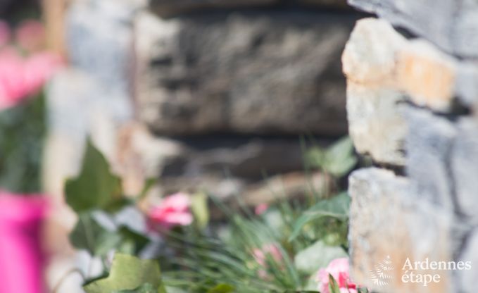 Ferienhaus Bouillon (Ucimont) 12 Pers. Ardennen Wellness