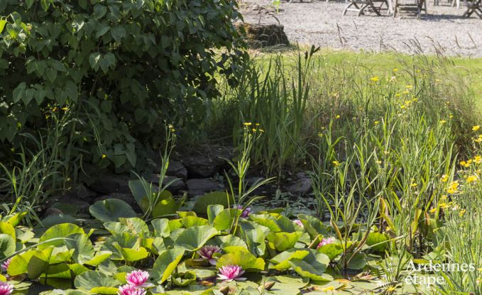 Ferienhaus Bouillon (Ucimont) 27 Pers. Ardennen Wellness