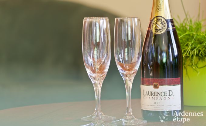 Ferienhaus Bouillon (Ucimont) 8 Pers. Ardennen Schwimmbad Behinderten gerecht