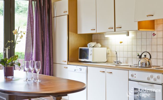 Ferienhaus Bouillon (Ucimont) 8 Pers. Ardennen Schwimmbad Behinderten gerecht