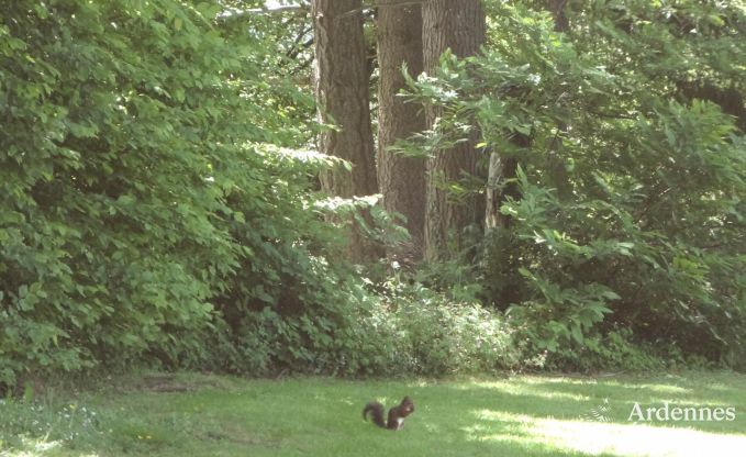 Ferienhaus Bouillon 9 Pers. Ardennen