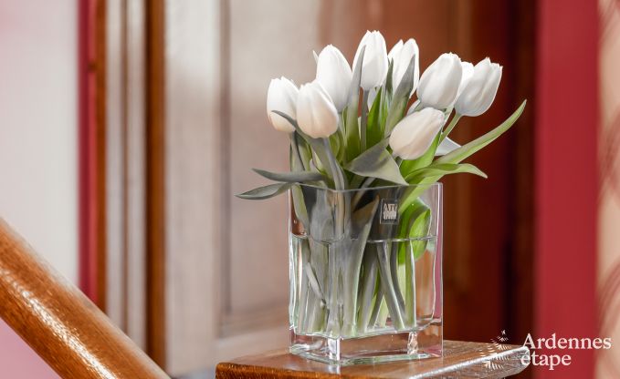 Ferienhaus Bouillon 8 Pers. Ardennen