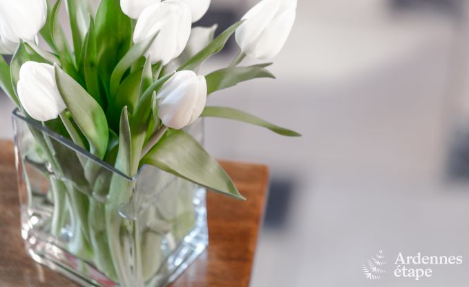 Ferienhaus Bouillon 8 Pers. Ardennen