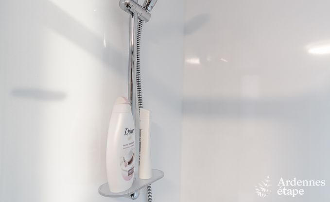 Ferienhaus Bouillon 8 Pers. Ardennen