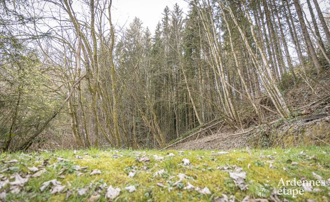 Ferienhaus Bouillon 6 Pers. Ardennen