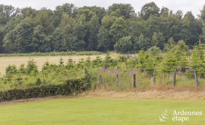 Ferienhaus Bouillon 22 Pers. Ardennen Wellness