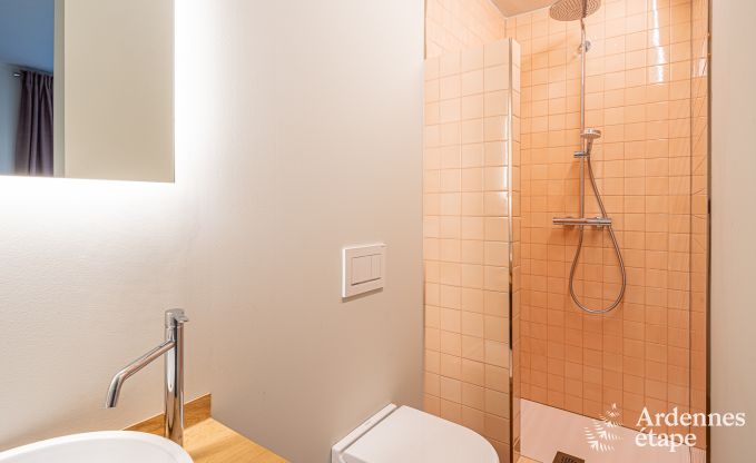 Luxusvilla Bouillon 15 Pers. Ardennen Wellness