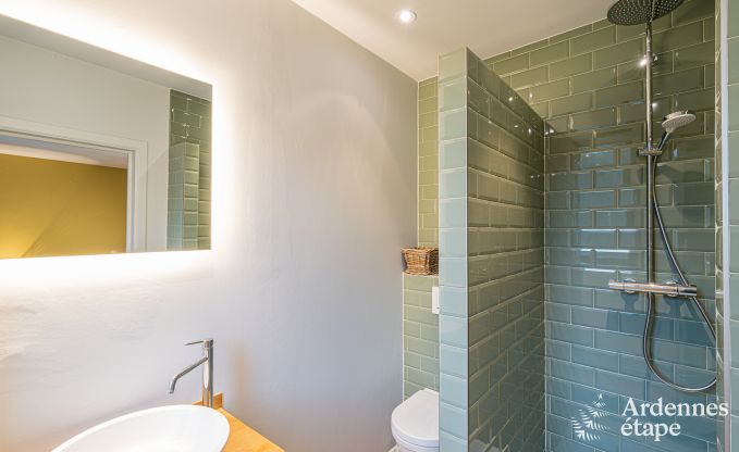 Luxusvilla Bouillon 15 Pers. Ardennen Wellness