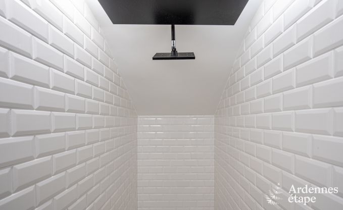 Luxusvilla Bouillon 14 Pers. Ardennen Schwimmbad Wellness Behinderten gerecht