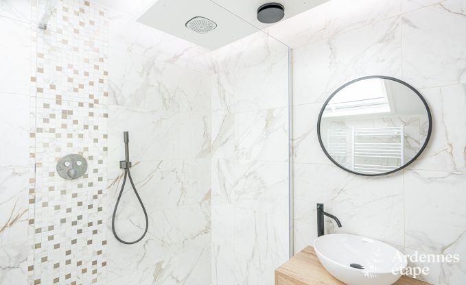 Luxusvilla Bouillon 14 Pers. Ardennen Schwimmbad Wellness Behinderten gerecht