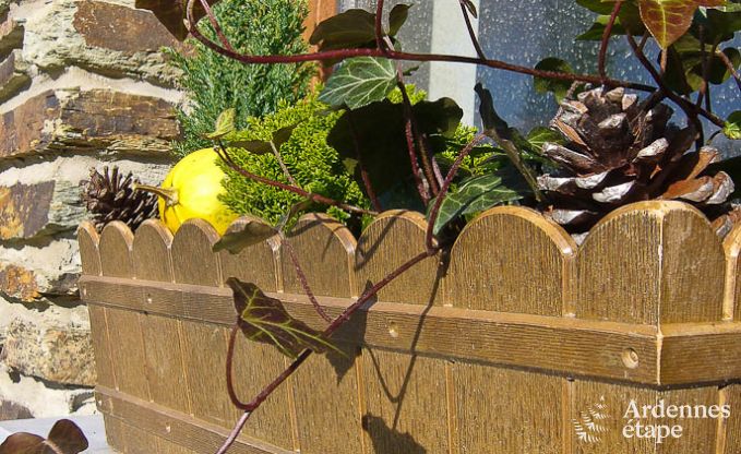 Ferienhaus Bouillon 4/5 Pers. Ardennen