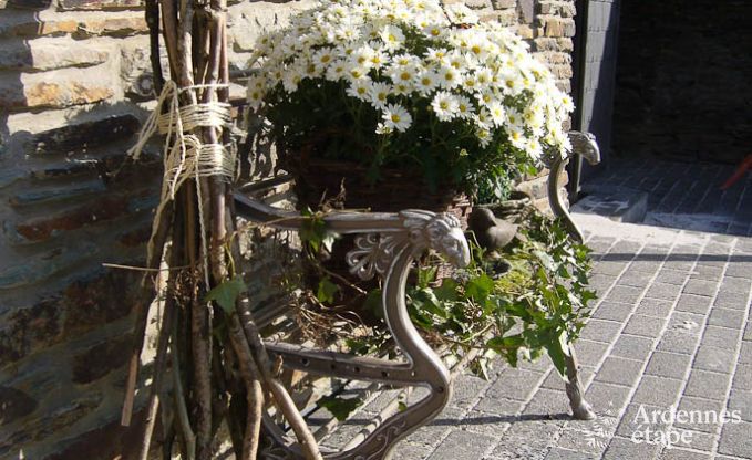 Ferienhaus Bouillon 4/5 Pers. Ardennen
