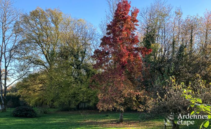 Vom ehemaligen Caf� zum Ferienhaus f�r 8 Personen in Bouillon: authentischer Charme und moderner Komfort