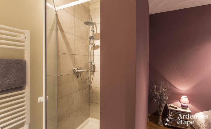 Ferienhaus Bouillon 10 Pers. Ardennen Wellness