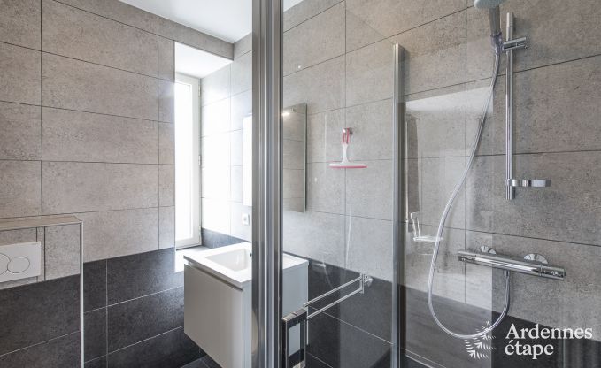 Ferienhaus Bouillon 22 Pers. Ardennen Wellness