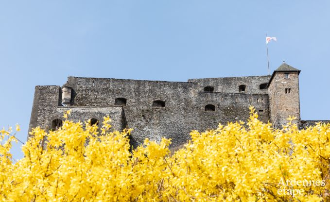 Ferienhaus Bouillon 5/6 Pers. Ardennen Wellness