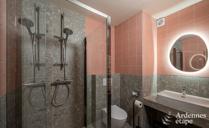 Ferienhaus Bouillon 36/40 Pers. Ardennen Schwimmbad