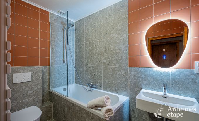 Ferienhaus Bouillon 36/40 Pers. Ardennen Schwimmbad