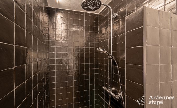 Luxusvilla Bouillon 15 Pers. Ardennen Wellness