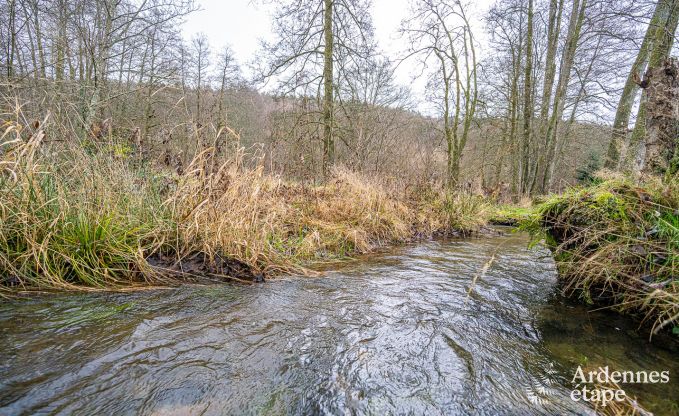 Luxusvilla Bouillon 15 Pers. Ardennen Wellness