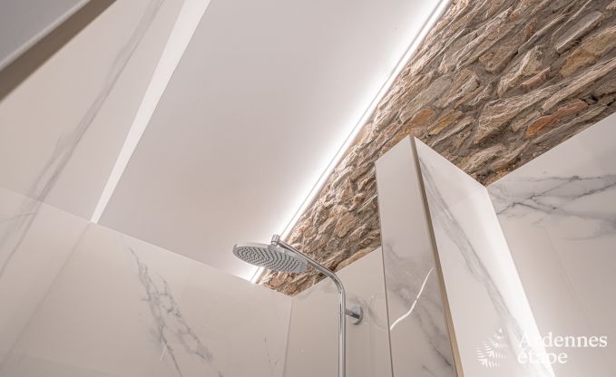 Luxusvilla Bouillon 15 Pers. Ardennen Wellness