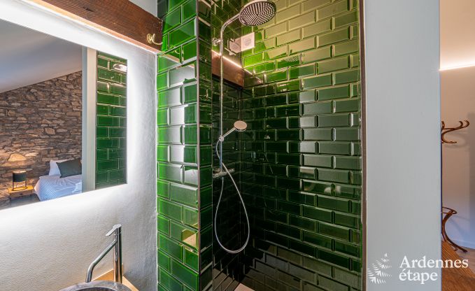 Luxusvilla Bouillon 15 Pers. Ardennen Wellness