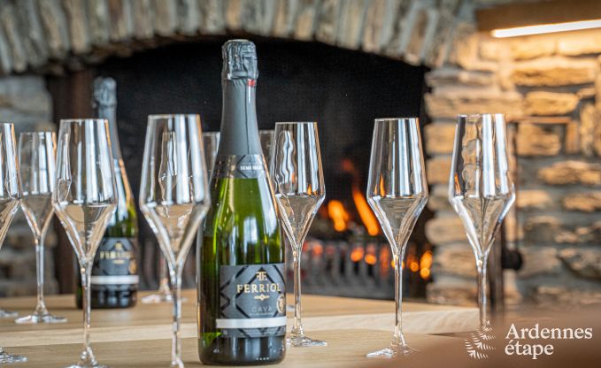 Luxusvilla Bouillon 14 Pers. Ardennen Schwimmbad Wellness Behinderten gerecht