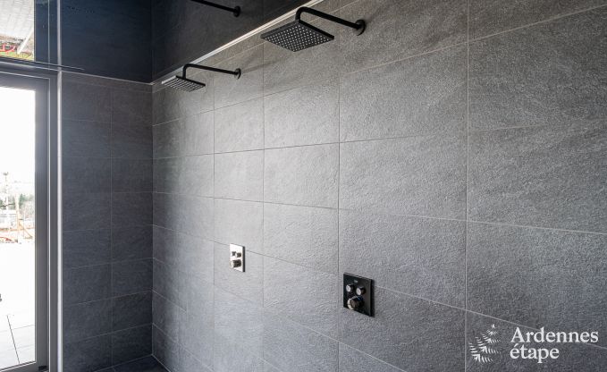 Luxusvilla Bouillon 14 Pers. Ardennen Schwimmbad Wellness Behinderten gerecht