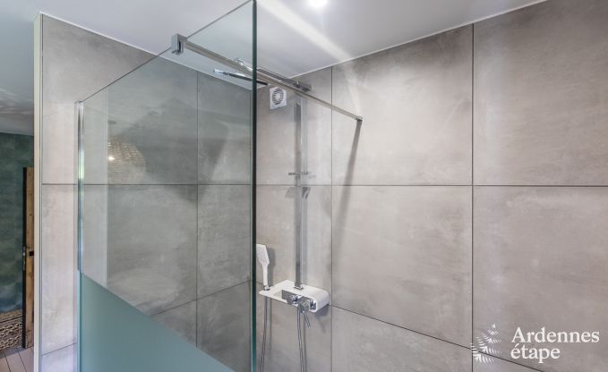 Luxusvilla Bouillon 20 Pers. Ardennen Schwimmbad Wellness Behinderten gerecht