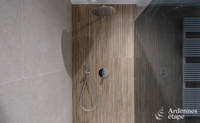 Luxus Chalet in Brognon fr 20 Personen mit beheiztem Auenpool, Outdoor-Jacuzzi und Sauna am See