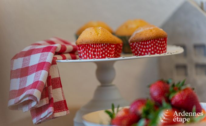 Charmantes Ferienhaus in Bllingen: Ferienhaus fr 4 Personen mit Sauna, privatem Garten und Nhe zu Naturschutzgebieten