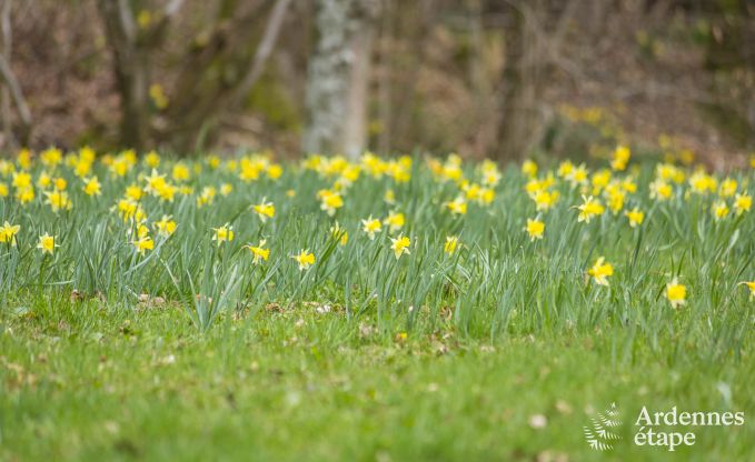 Chalet Bullange 6 Pers. Ardennen