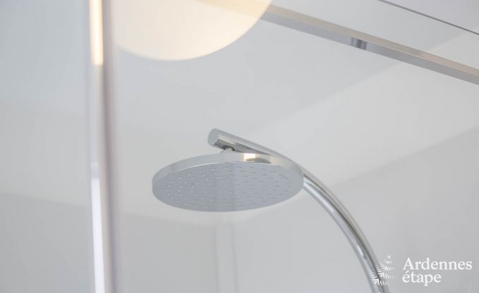 Ferienhaus Bullingen 12/14 Pers. Ardennen Wellness