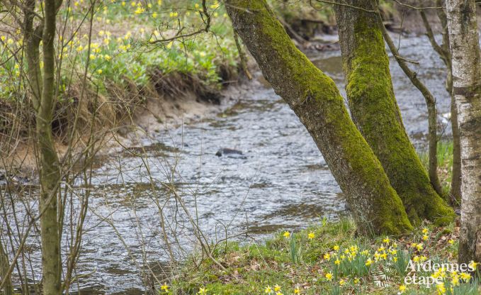 Chalet Bullingen 6 Pers. Ardennen