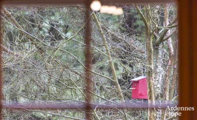 Chalet Bullingen 6 Pers. Ardennen