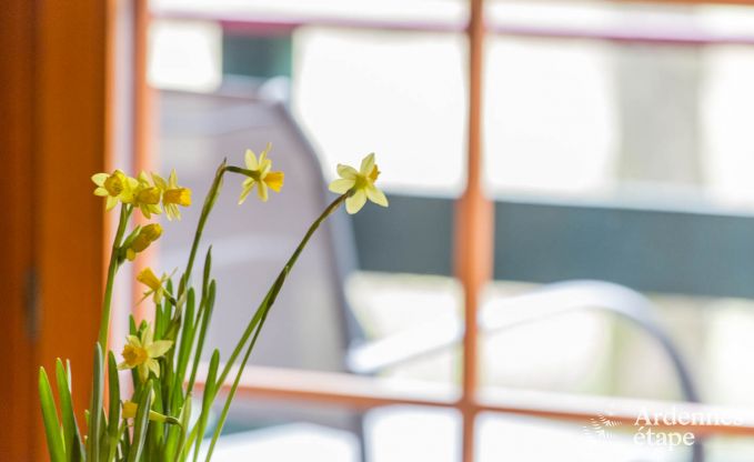 Chalet Bullingen 6 Pers. Ardennen