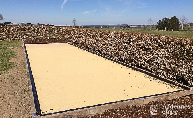 Ferienhaus B�llingen 8 Pers. Ardennen Wellness