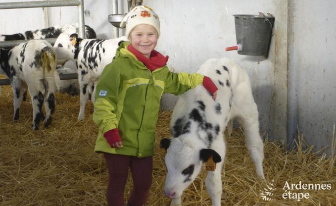 Ferienhaus Burg-Reuland 8 Pers. Ardennen Behinderten gerecht