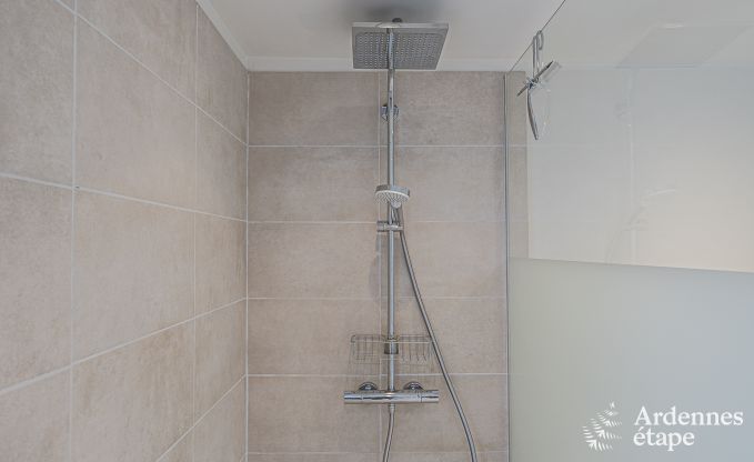 Ferienhaus Burg-Reuland 4 Pers. Ardennen Wellness