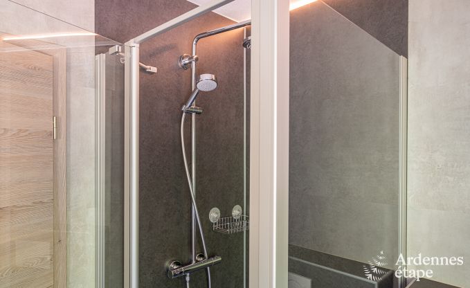 Ferienhaus Burg-Reuland 5/6 Pers. Ardennen Wellness