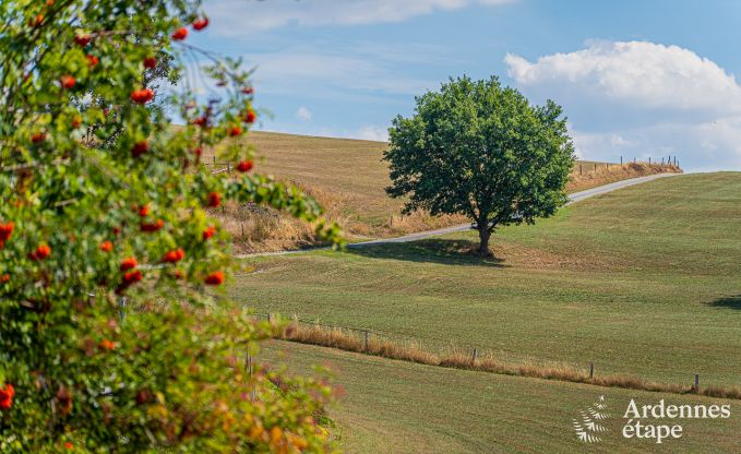 Ferienhaus Burg-Reuland 5/6 Pers. Ardennen Wellness