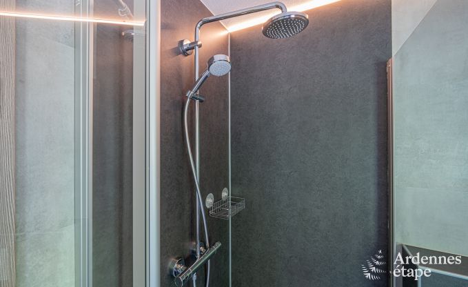 Ferienhaus Burg-Reuland 5/6 Pers. Ardennen Wellness