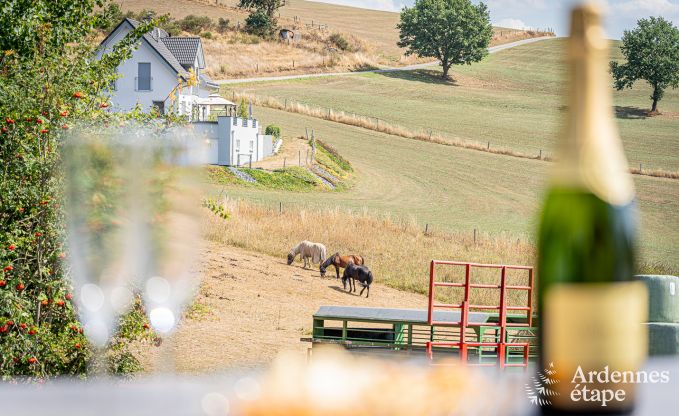Ferienhaus Burg-Reuland 5/6 Pers. Ardennen Wellness