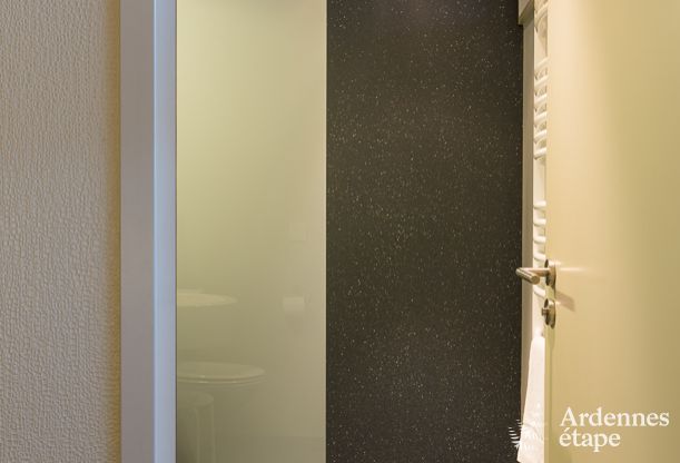 Luxusvilla Butgenbach (Heppenbach) 24 Pers. Ardennen Wellness Behinderten gerecht