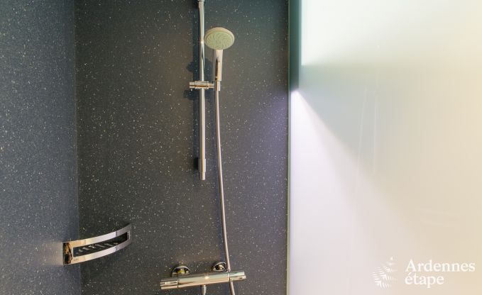 Luxusvilla Butgenbach (Heppenbach) 24 Pers. Ardennen Wellness Behinderten gerecht