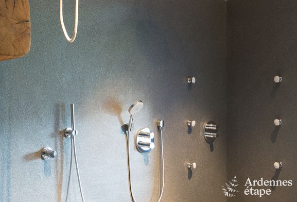 Luxusvilla Butgenbach (Heppenbach) 24 Pers. Ardennen Wellness Behinderten gerecht